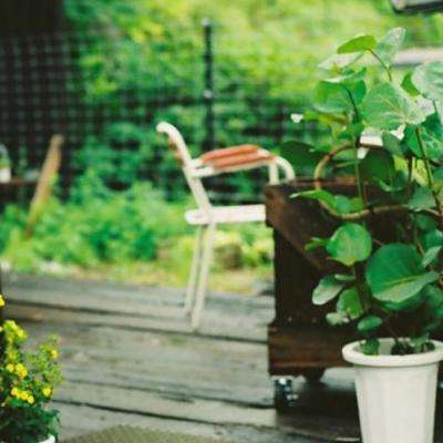 开元app下载手机版截图