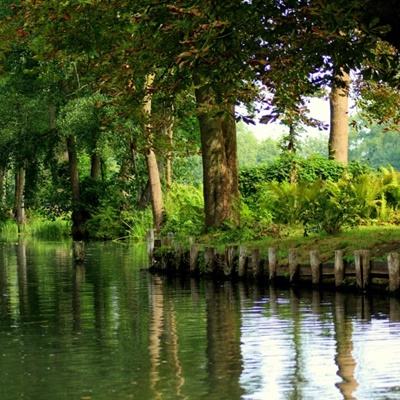 NG南宫28官网登录